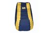 Michigan Wolverines Video Bag