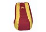 Minnesota Golden Gophers Video Bag