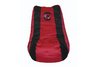 South Carolina Gamecocks Video Bag