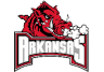 Arkansas Razorbacks