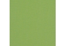 Canvas Gingko