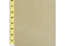 Chamois