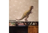 Removable Dinosaur Wall Decal