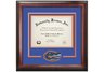 University of Florida Gators Spirit Diploma Frame