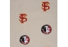 Florida State Seminoles
