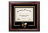 Georgia Institute of Technology Yellow Jackets Spirit Diploma Frame