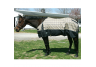 Equestrian Equipment