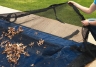 Leaf Net Demo