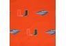 Miami Hurricanes