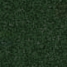 Midnight Green