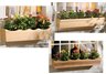 Nantucket Window Boxes