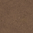 Sahara
