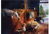 equestrian note cards, equestrian accessories, fine note cards, horse