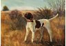 equestrian note cards, hound note cards, hunting note cards, foxhunting note cards