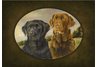 equestrian note cards, fine note cards, hound, hunting, hound note cards, equestrian accessories