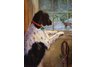 equestrian note cards, equestrian accessories, hound note cards, foxhunting, fine note cards
