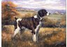 equestrian note cards, equestrian accessories, hound note cards, hunting note cards