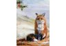 equestrian note cards, equestrian accessories, hound note cards, foxhunting, fine note cards