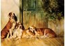 equestrian note cards, equestrian accessories, hound note cards, hound, foxhunting