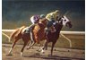 equestrian note cards, horse racing, horse racing note cards, equestrian accessories, fine note card