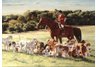 equestrian note cards, equestrian accessories, fine note cards, foxhunting, foxhunting note cards