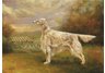 equestrian note cards, horse note cards, equestrian accessories, hound note cards, fine note cards, 