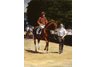 equestrian note cards, racing note cards, equestrian accessories, fine note cards, horse racing
