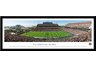 Texas A&M University Aggies Stadium Print