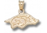 University of Arkansas Razorbacks Gold Pendant
