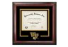 Wake Forest University Demon Deacons Spirit Diploma Frame