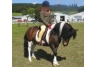 equestrian gifts