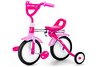 Radio Flyer Girls Grow 'N Go Bike