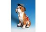 Confederate Bulldog