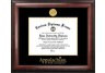 Appalachian State Mountaineers Gold Embossed Diploma Frame