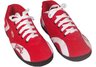 Arkansas Razorbacks All Around 2X