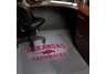 Arkansas Carpet Foldable