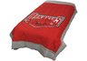 Arkansas Panel Comforter Full