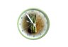 Asparagus Wall Clock