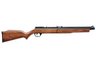 Benjamin Air Rifle