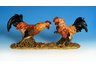 Fighting Roosters