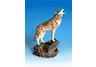 Howling Wolf on Rock