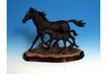 Black Horse Running With Foal