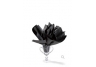 equestrian gifts