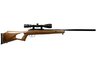 Benjamin Trail NP Air Rifle