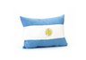 Argentina Flag Pillow.