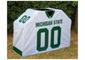 Grill Cover - Michigan St