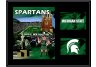 Michigan State Spartans 11
