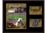 Purdue Boilermakers 11
