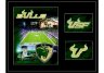 University of Southern Florida Bulls 11
