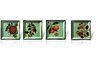 Fruitful Bounty Plates - Set of Four